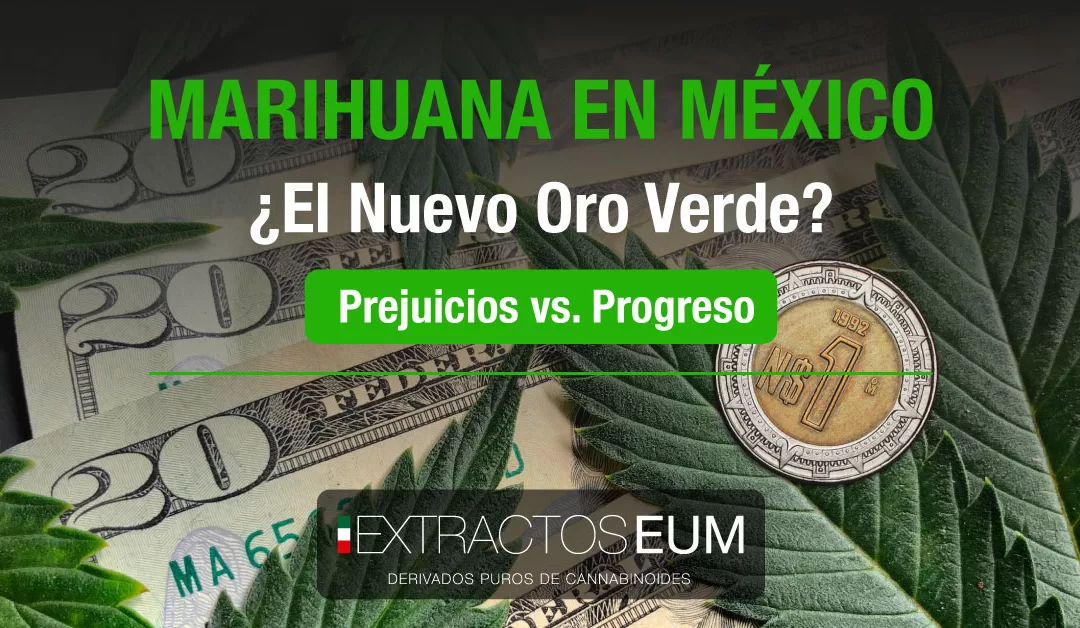 Marihuana en México: ¿El Nuevo Oro Verde? Explorando 3 Oportunidades y Desafíos